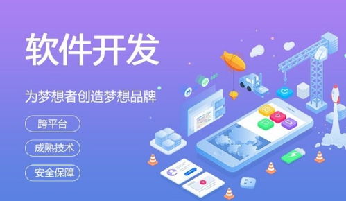 即拼商城系統開發找微三云王云
