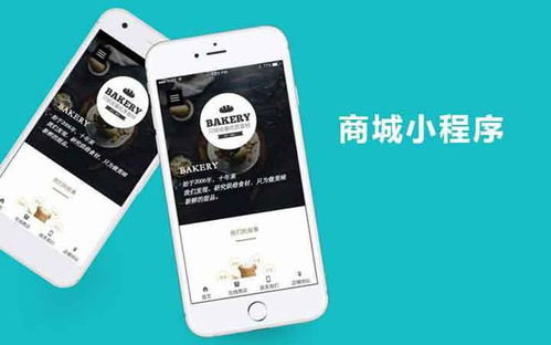 商城小程序的外部系統對接平臺開發,提高商家運營效率