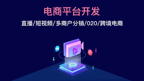 商聯(lián)達詳解 電商平臺定制開發(fā)的前景怎么樣